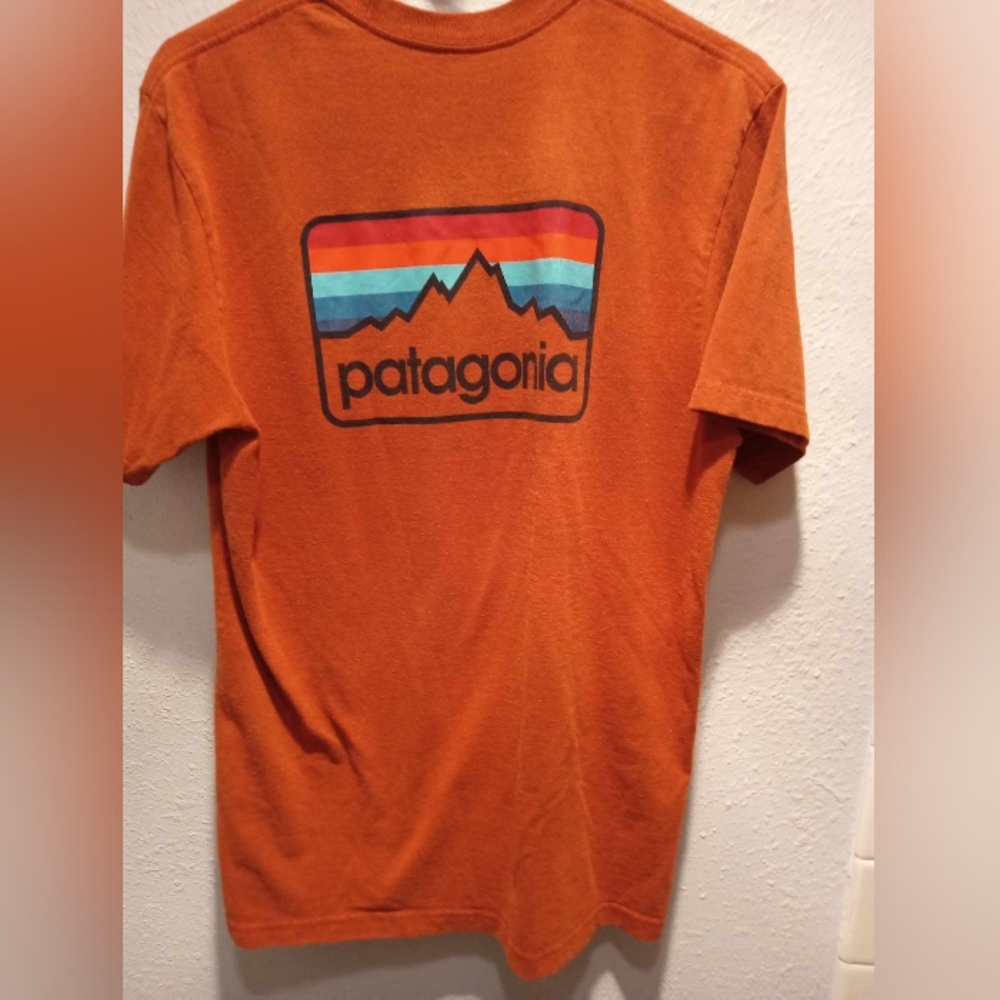 Patagonia t shirt